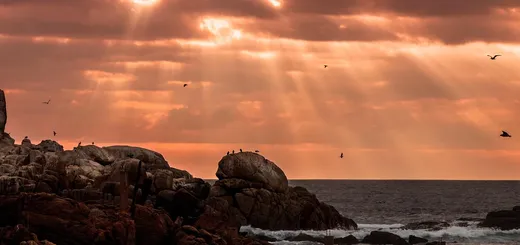 Mirante Pablo Neruda Viña del Mar