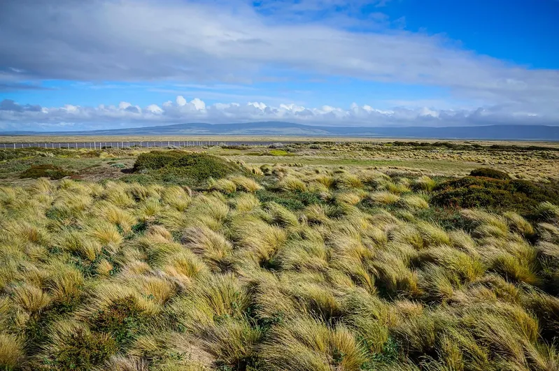 5 motivos para conhecer o Chile