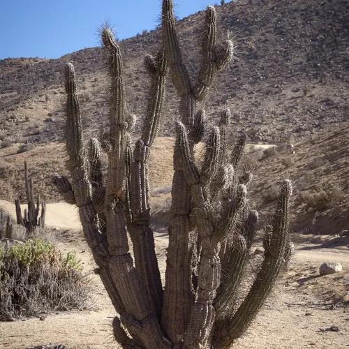 San Pedro de Atacama