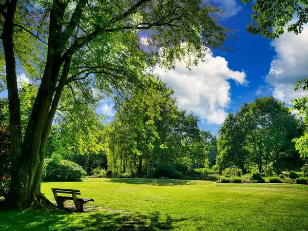 Parque Florestal em Lastarria