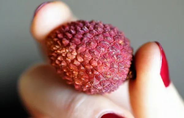 5 frutas chilenas exóticas