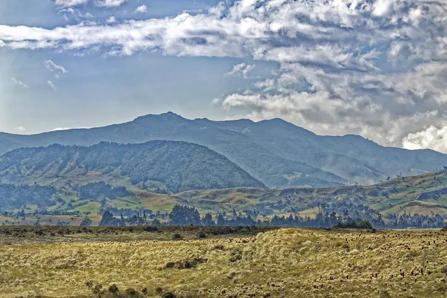 Parque Quinta Normal