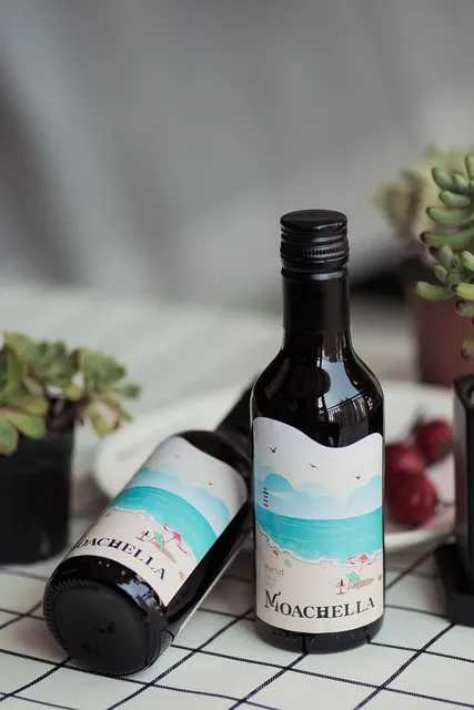 5 bebidas tradicionais do Chile