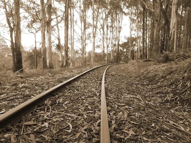 Tren del Recuerdo 