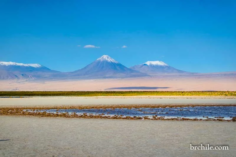 Laguna Cejar