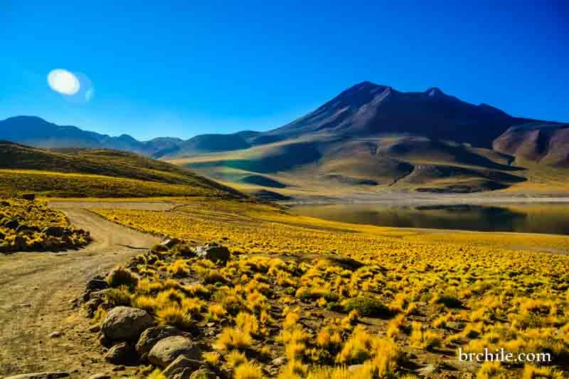 Lagunas Altiplanicas