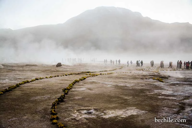 Geysers el tatio