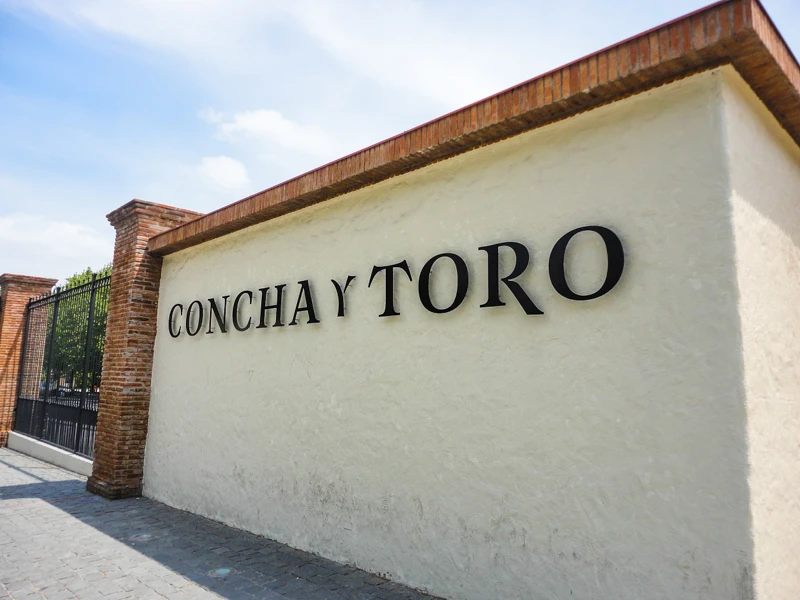 Concha y toro