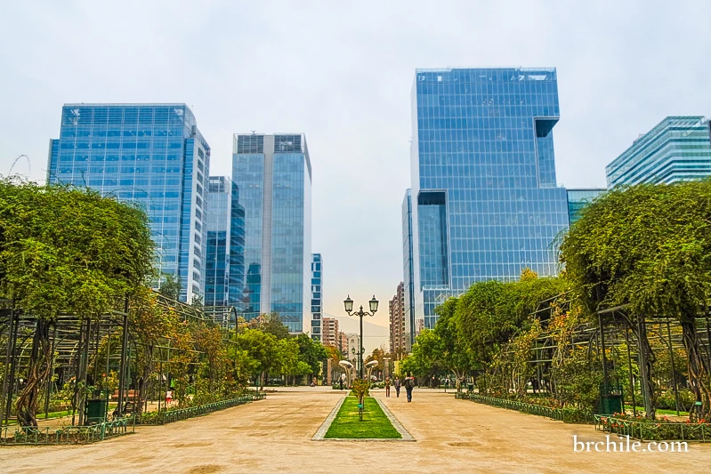 Parque araucano