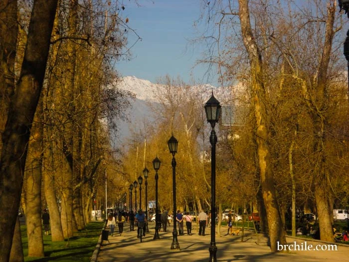 Parque Florestal